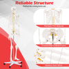 Life-size 70.8-inch human skeleton model made of premium PVC with a chrome-plated metal frame, ideal for anatomy.