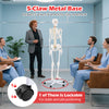 Life-size human skeleton model with a 5-claw metal base and wheels for easy movement, ideal for anatomy education.