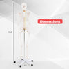 Life-size 70.8-inch human skeleton model with detachable skull cap and movable jaw, ideal for anatomy education.