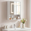 White medicine cabinet with mirror and three color LED lights, wall-mounted above a sink with decorative items.
