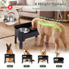 Black elevated dog bowls with four adjustable heights, licking plate, and slow feeder bowl for dogs of different sizes.