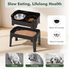 Black elevated dog bowls with adjustable height, slow feeder bowl, and licking plate for reduced obesity risk.