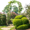 Elegant 7.9 feet black metal garden arch with flowers, ideal for climbing plants and outdoor decorations.