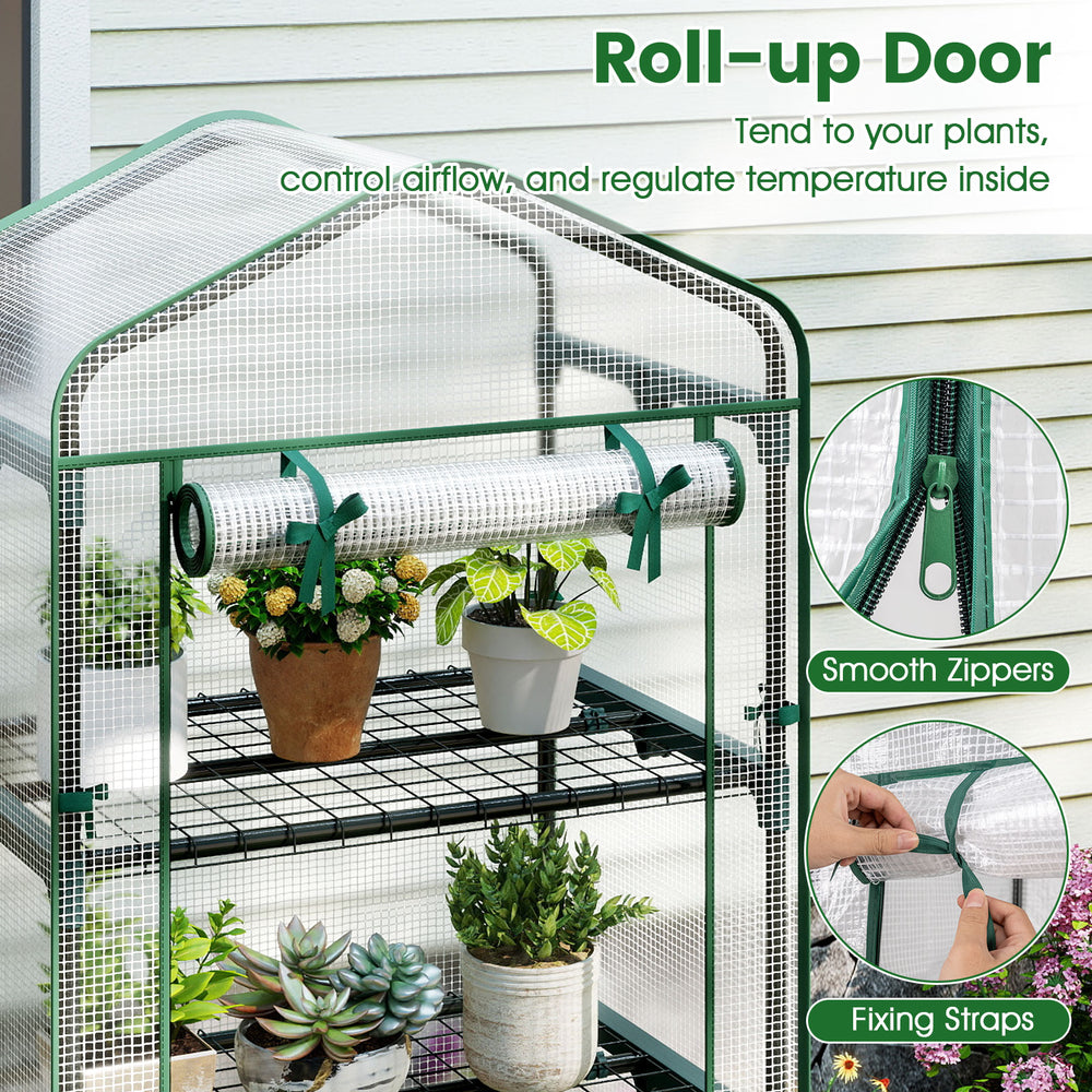 Mini greenhouse with roll-up door, 5 tier shelves, and PE grid cover for optimal plant growth and airflow control.
