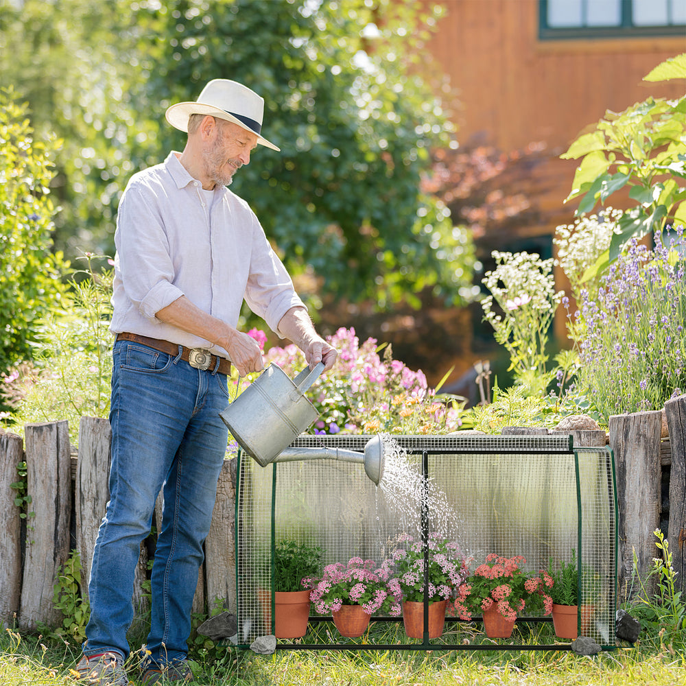 Mini greenhouse with roll-up zipper door, sturdy metal frame, and PE cover, ideal for protecting plants in various.
