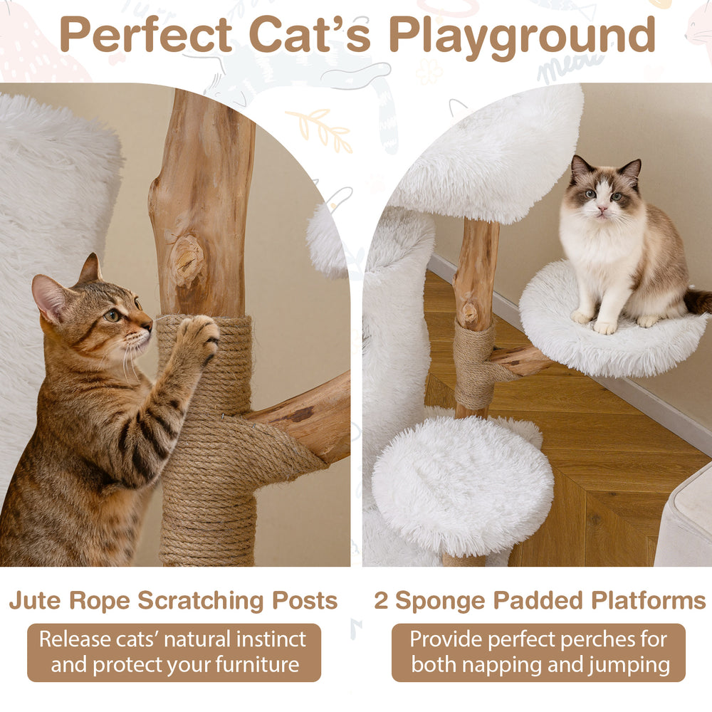 Cat tree with jute rope scratching posts and sponge padded platforms for indoor cats, featuring natural wood branches.