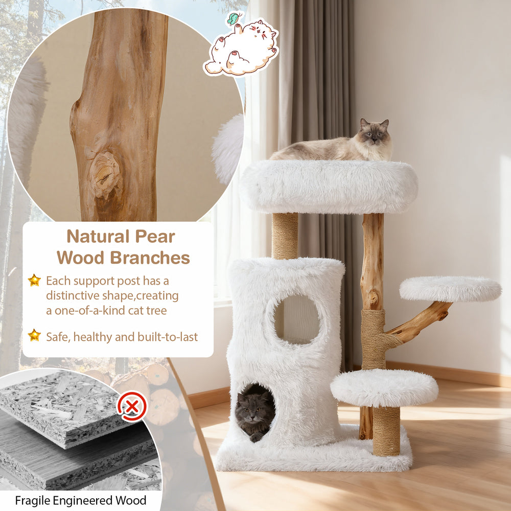 Modern cat tree with natural pear wood branches, plush fabric, and two-tier condos for indoor cats to climb and relax.
