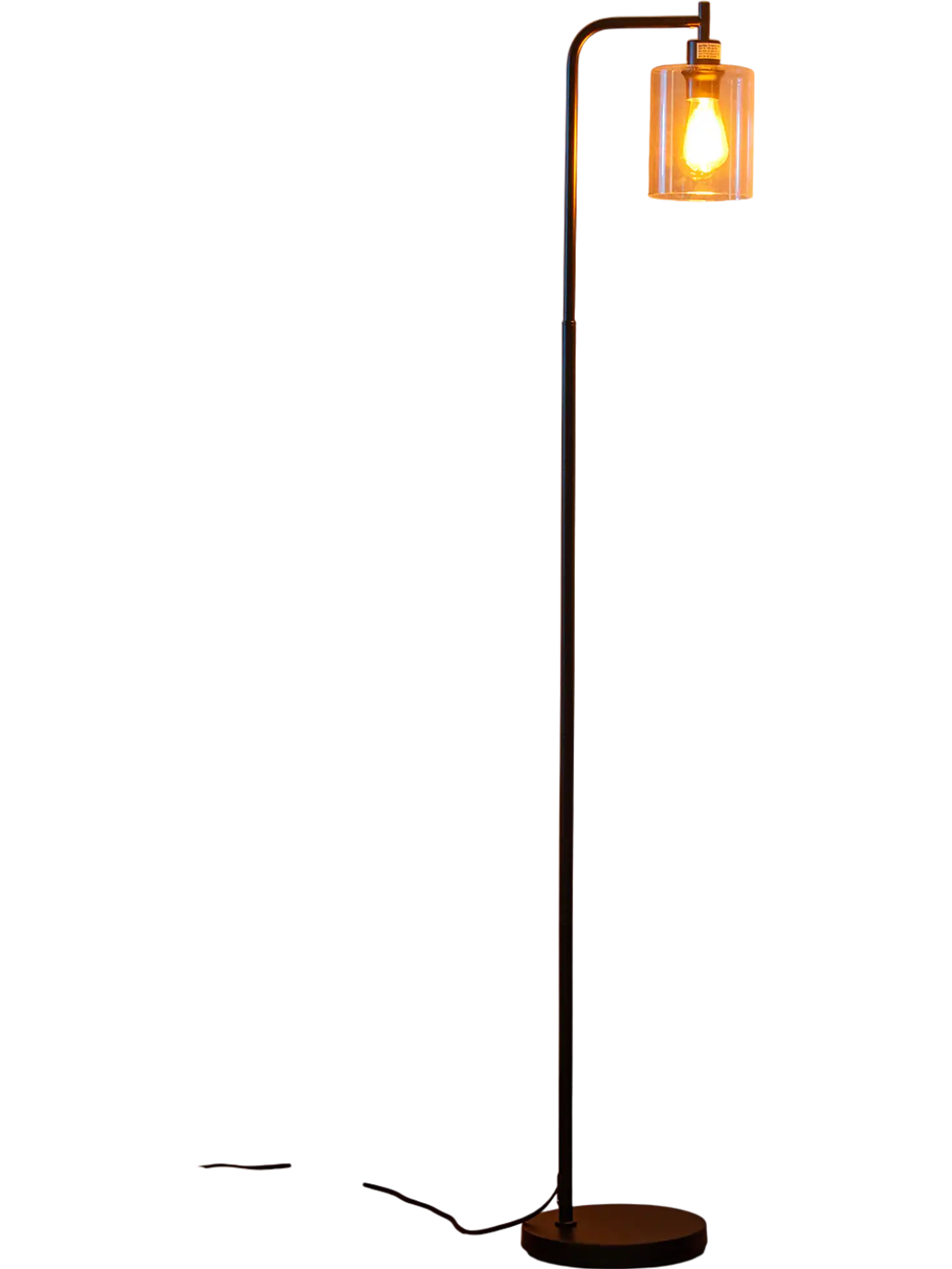 Costway Modern Floor Lamp Hanging Glass Shade Foot Switch Black 65182394 New