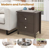 Modern nightstand in brown with two drawers, perfect for small spaces, ideal for bedroom or living room use.
