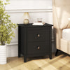 Modern Nightstand with 2 Drawers for Small Spaces-Black - Gallery View 1 of 10