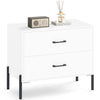 Modern white 2-drawer nightstand with metal legs and handles, perfect for bedroom or office storage and style.
