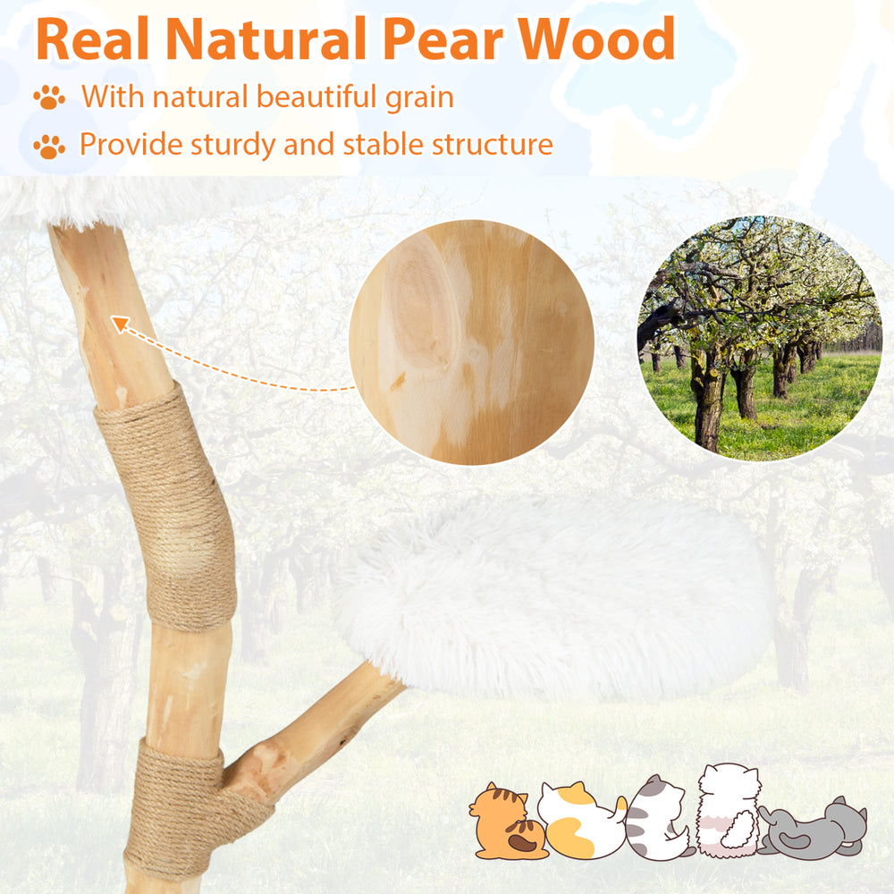 Natural pear wood cat tree features a cozy perch, jute scratching posts, and a sturdy three-tier design for climbing.