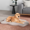 Orthopedic Dog Bed with Memory Foam Support for Large Dogs-Beige - Gallery View 1 of 10