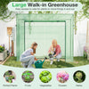 Large walk-in greenhouse with PE cover and roll-up zipper door, ideal for cultivating potted plants and vegetables.