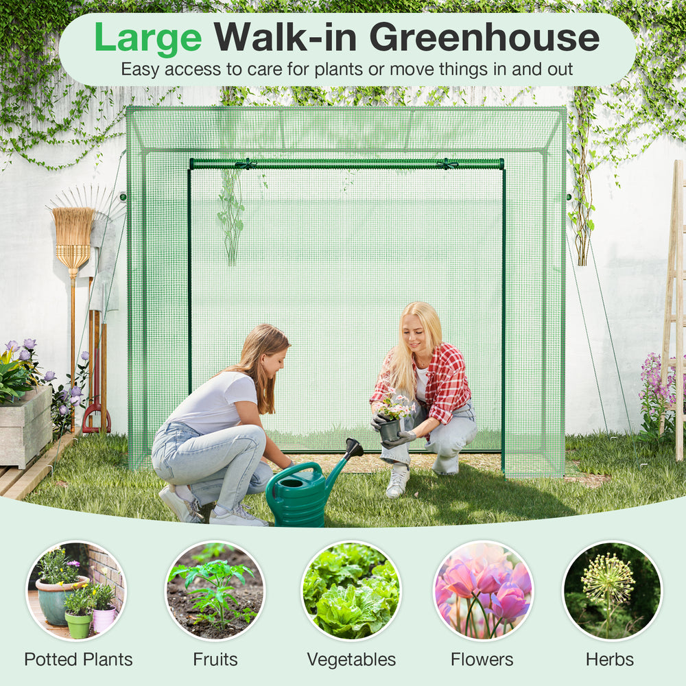 Large walk-in greenhouse with PE cover and roll-up zipper door, ideal for cultivating potted plants and vegetables.