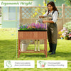 Ergonomic outdoor raised garden bed made of fir wood, featuring a bottom storage shelf and protective liner for easy.