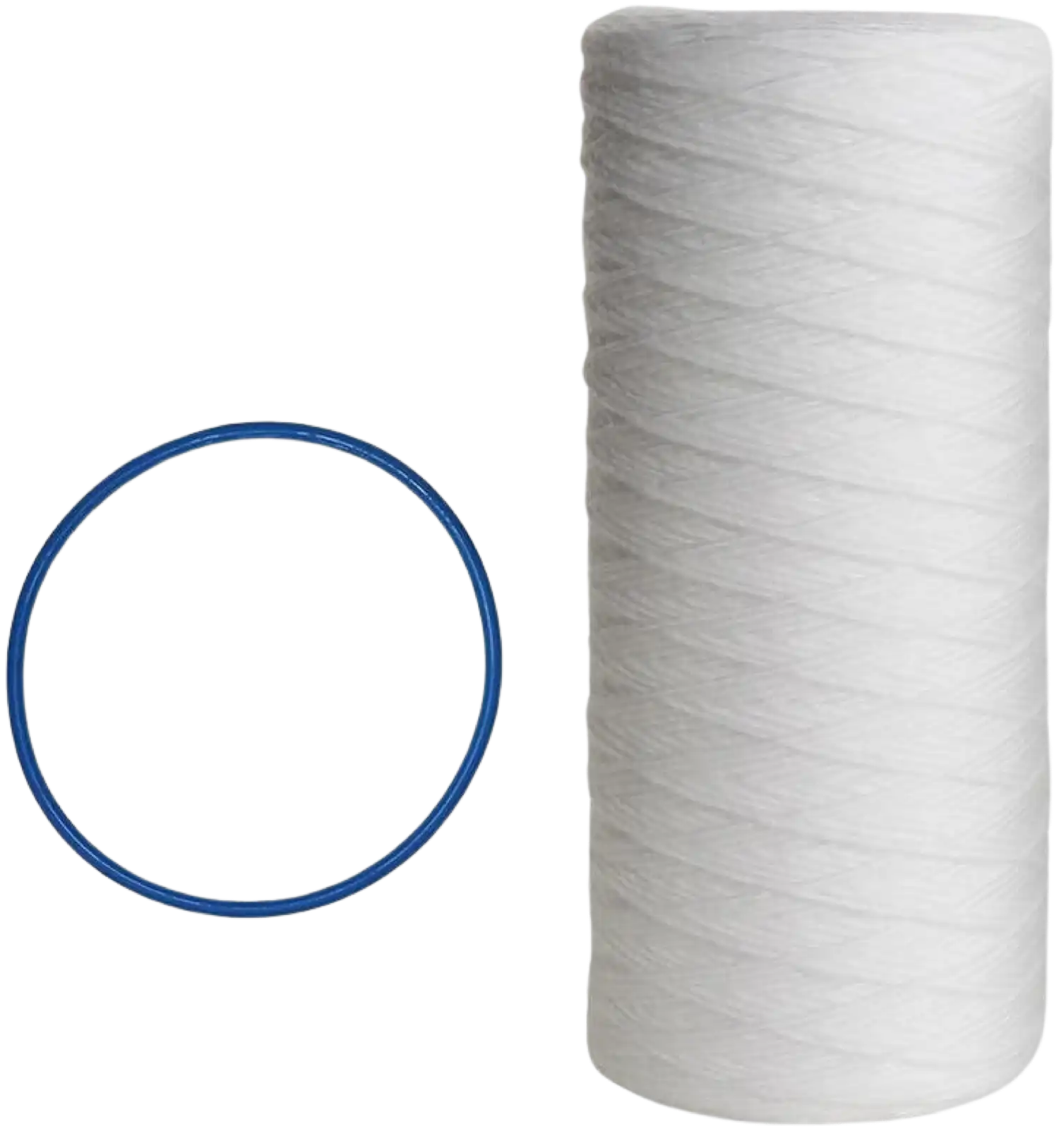 Pentair Replacement 10