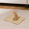 Cat sitting on a natural sisal scratcher mat, 16 x 12 inches, designed to protect furniture and satisfy scratching.