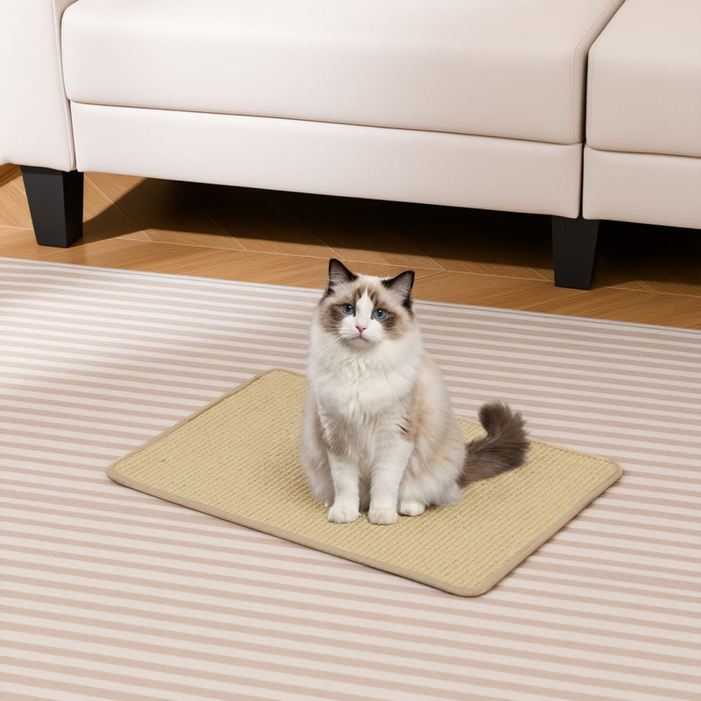 Cat sitting on a natural sisal scratcher mat, 24 x 16 inches, designed to protect furniture and satisfy scratching.