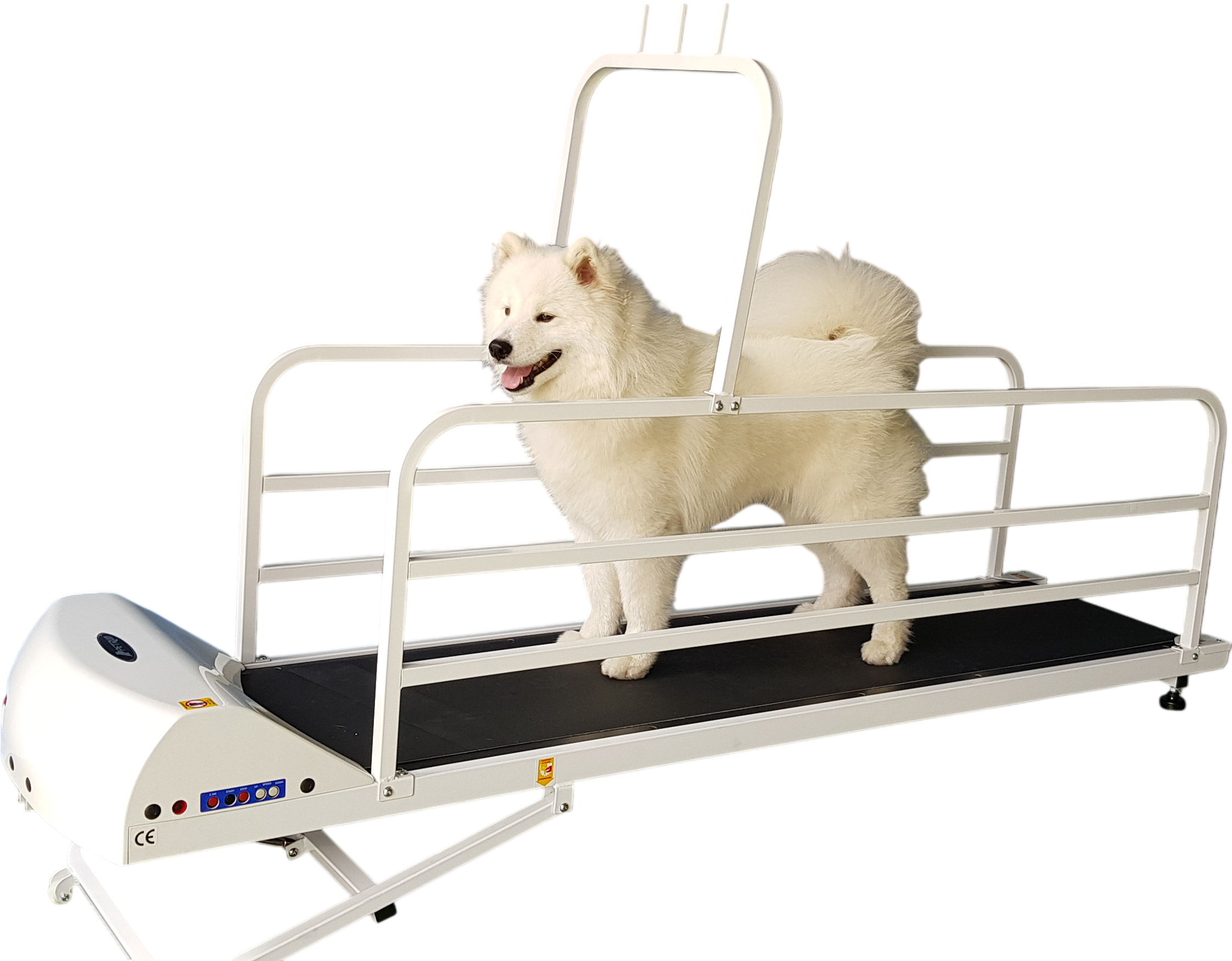 GoPet PR725E PetRun 25 Inch Large Breed up to 176 pounds Large Dog Treadmill New