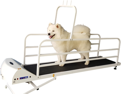 GoPet PR725E PetRun 25 Inch Large Breed up to 176 pounds Large Dog Treadmill New