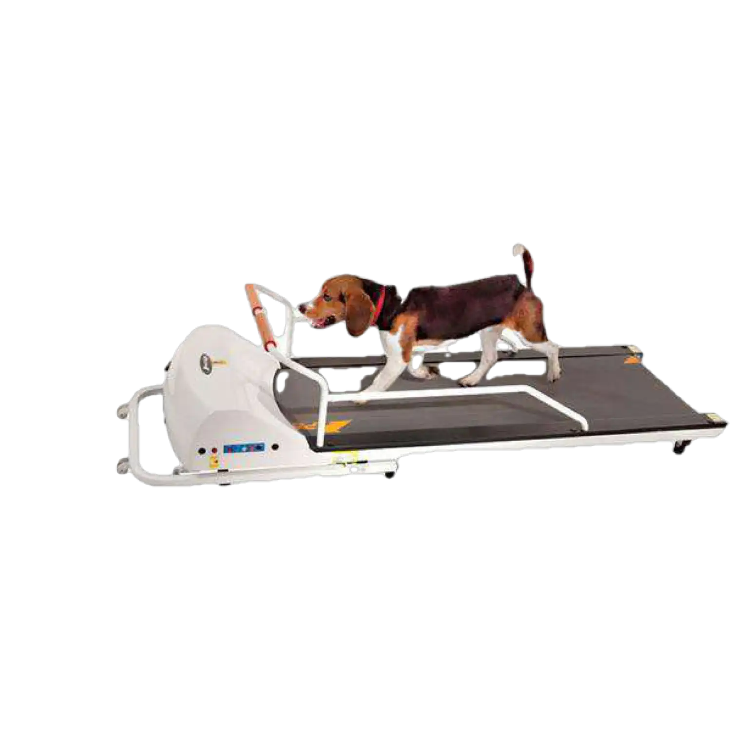 GoPet PR720F PetRun up to 132 pounds Small Medium Dog Treadmill New