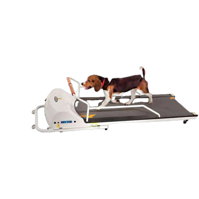 GoPet PR720F PetRun up to 132 pounds Small Medium Dog Treadmill New