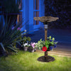 Standing Pedestal Birdbath and Feeder Combo with Lotus Leaf Bowl-Bronze - Gallery View 1 of 10
