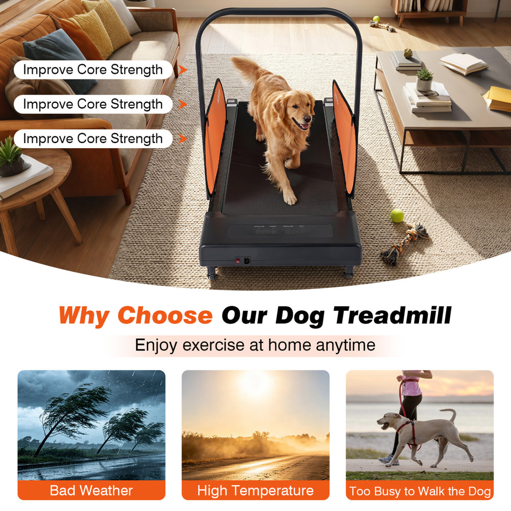 Pet treadmill for small and medium dogs with adjustable speed, LED display, and removable side panels for safe exercise.