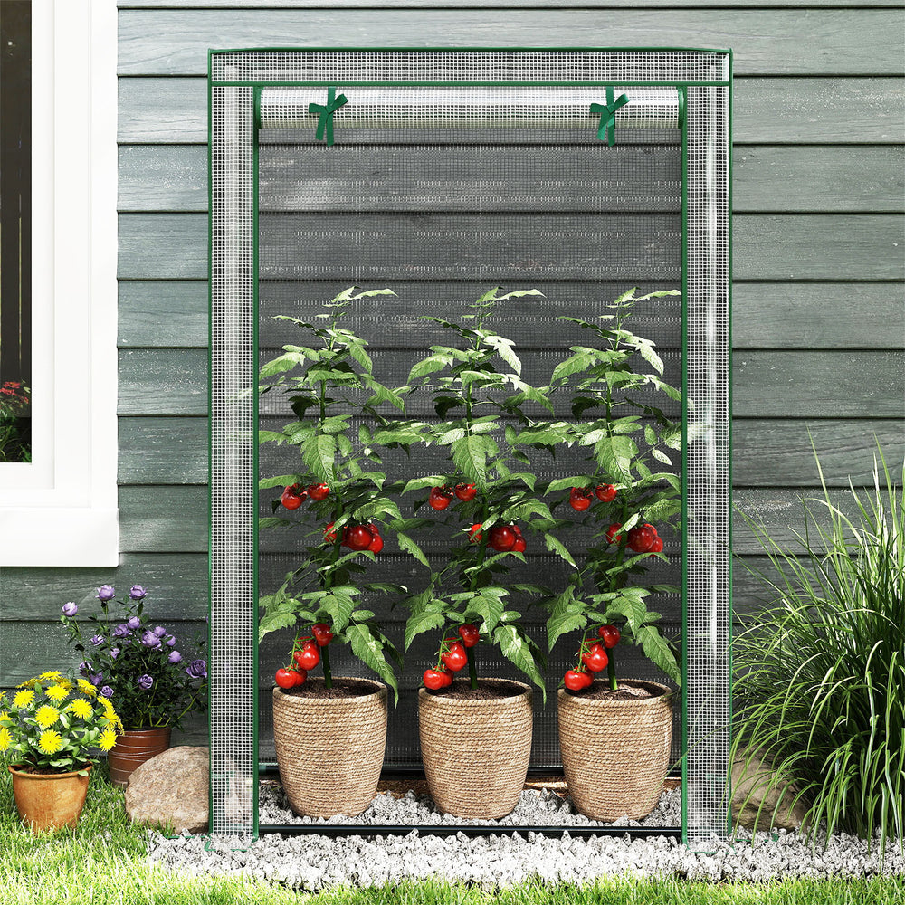 Portable mini greenhouse with a roll-up zippered door, showcasing plants in pots for convenient access and healthy.
