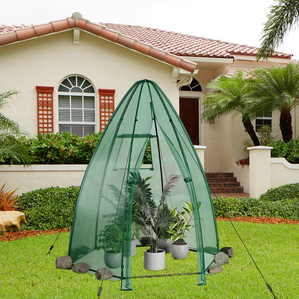 Portable mini greenhouse with all-weather PE cover, 5.5 x 5.5 x 6 feet, featuring a roll-up mesh window for ventilation.