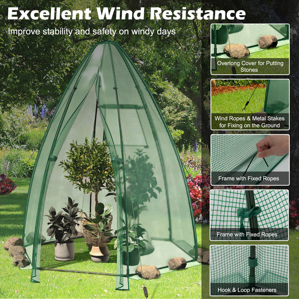 Portable mini greenhouse with all-weather PE cover, featuring a high-strength metal frame and wind resistance for.