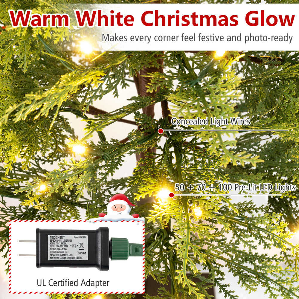 Pre-lit cypress Christmas tree set of 3 with warm white LED lights and realistic branch tips for festive decoration.