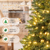 Premium 5 ft hinged artificial fir Christmas tree with LED lights, featuring 600 dense branch tips for ample decoration space.