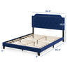 Queen size velvet platform bed featuring a button tufted headboard with nailhead trim, ideal for stylish bedroom decor.