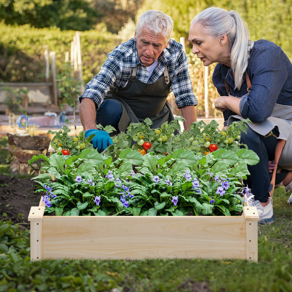 Raised garden bed made of fir wood with vibrant plants, ideal for versatile planting in your garden.