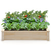 Raised garden bed made of fir wood, featuring a spacious planting area with tomatoes and decorative flowers for.