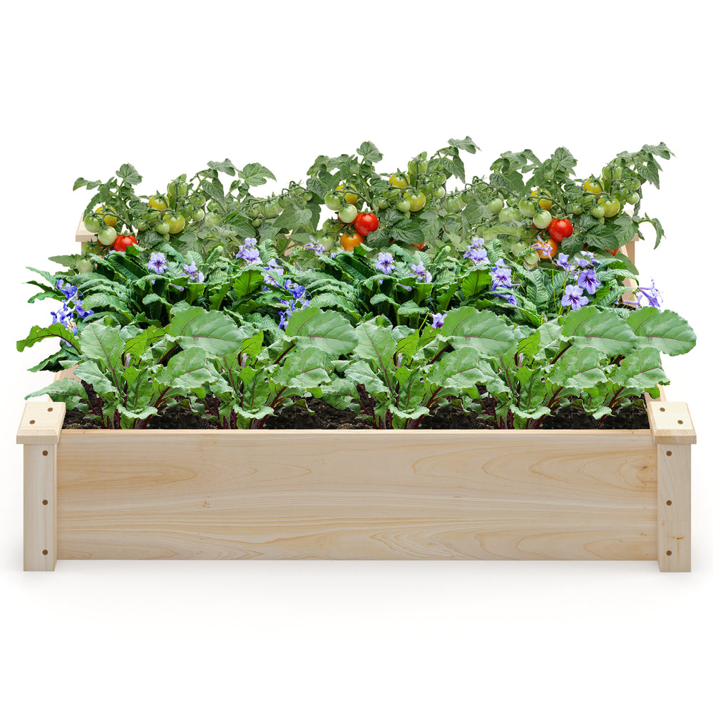 Raised garden bed made of fir wood, featuring a spacious planting area with tomatoes and decorative flowers for.