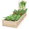 Raised garden bed with trellis made of natural fir wood, featuring two compartments for diverse plant growth.