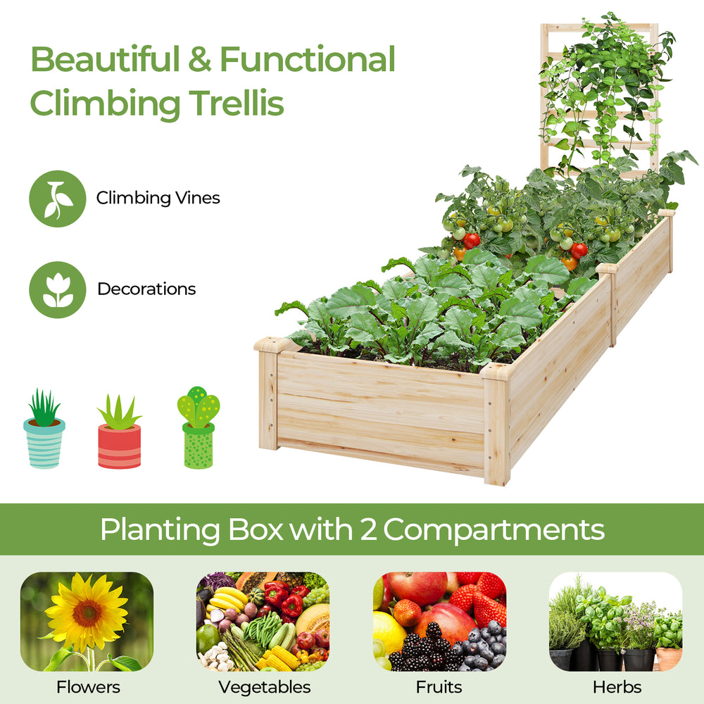 Planter box with trellis made of natural fir wood, featuring smooth surfaces and two compartments for growing herbs and.