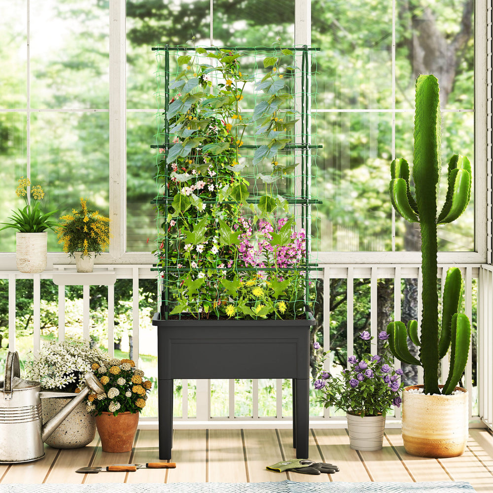 Self-watering raised garden bed with climbing trellis in black, perfect for growing flowers and vegetables indoors.