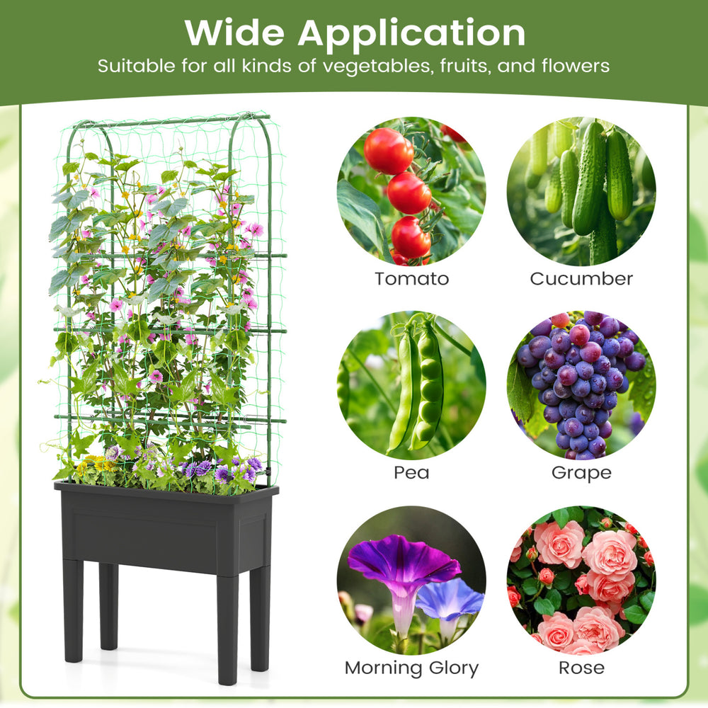 Self-watering raised garden bed with climbing trellis, ideal for vegetables and flowers, featuring durable black PP.