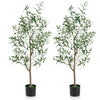 Set of 2 artificial olive trees, 4.5 feet tall, with realistic fruits and leaves, perfect for home or office decor.