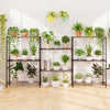 4-tier black metal shelving unit displaying various potted plants, ideal for indoor storage and organization.