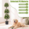 Set of 2 51" artificial topiary trees with 3 white blossoms, perfect for home decor and maintenance-free greenery.