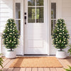 Set of 2 artificial topiary trees with white blossoms in weighted pots, perfect for enhancing front porches or home corners.