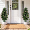 Set of 2 Artificial Topiary Trees 3 FT Fake Bushes Sun-Resistant-Purple - Gallery View 1 of 10