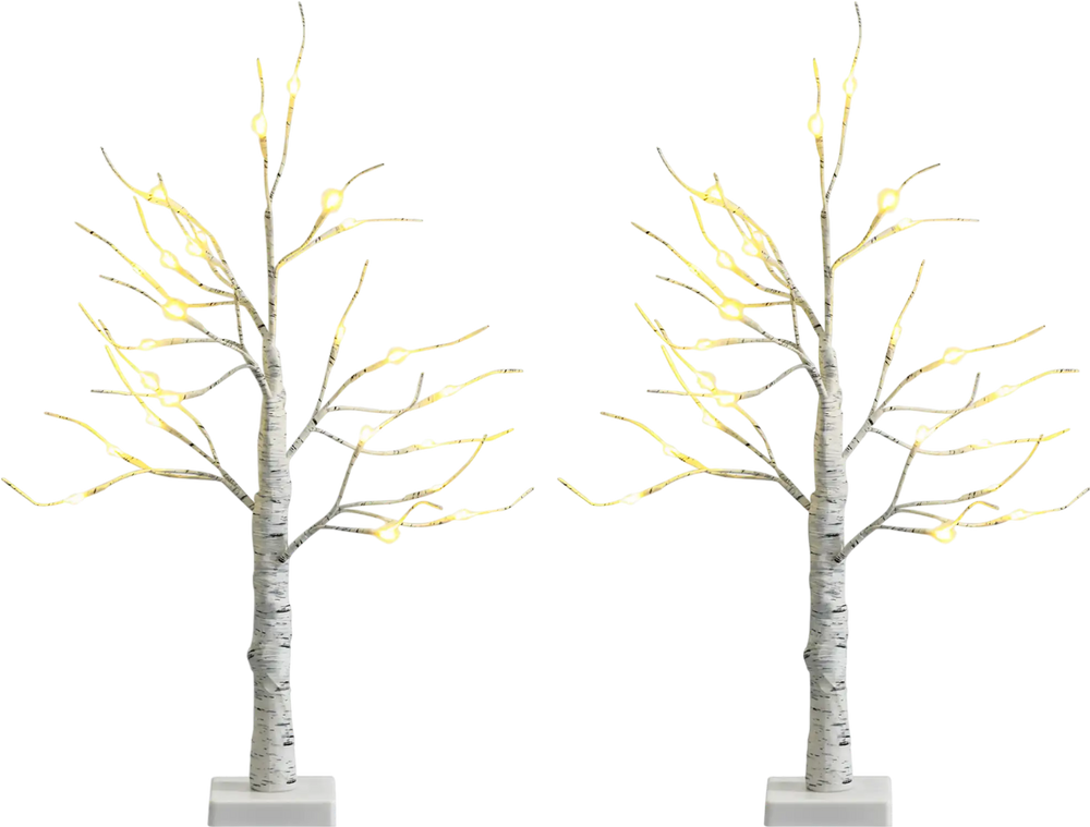 Set of 2 Pre-lit White Twig Birch Tree Battery Powered for Christmas Holiday