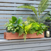 Wooden decorative raised garden bed with various plants, perfect for indoor or outdoor use, enhancing window or patio.