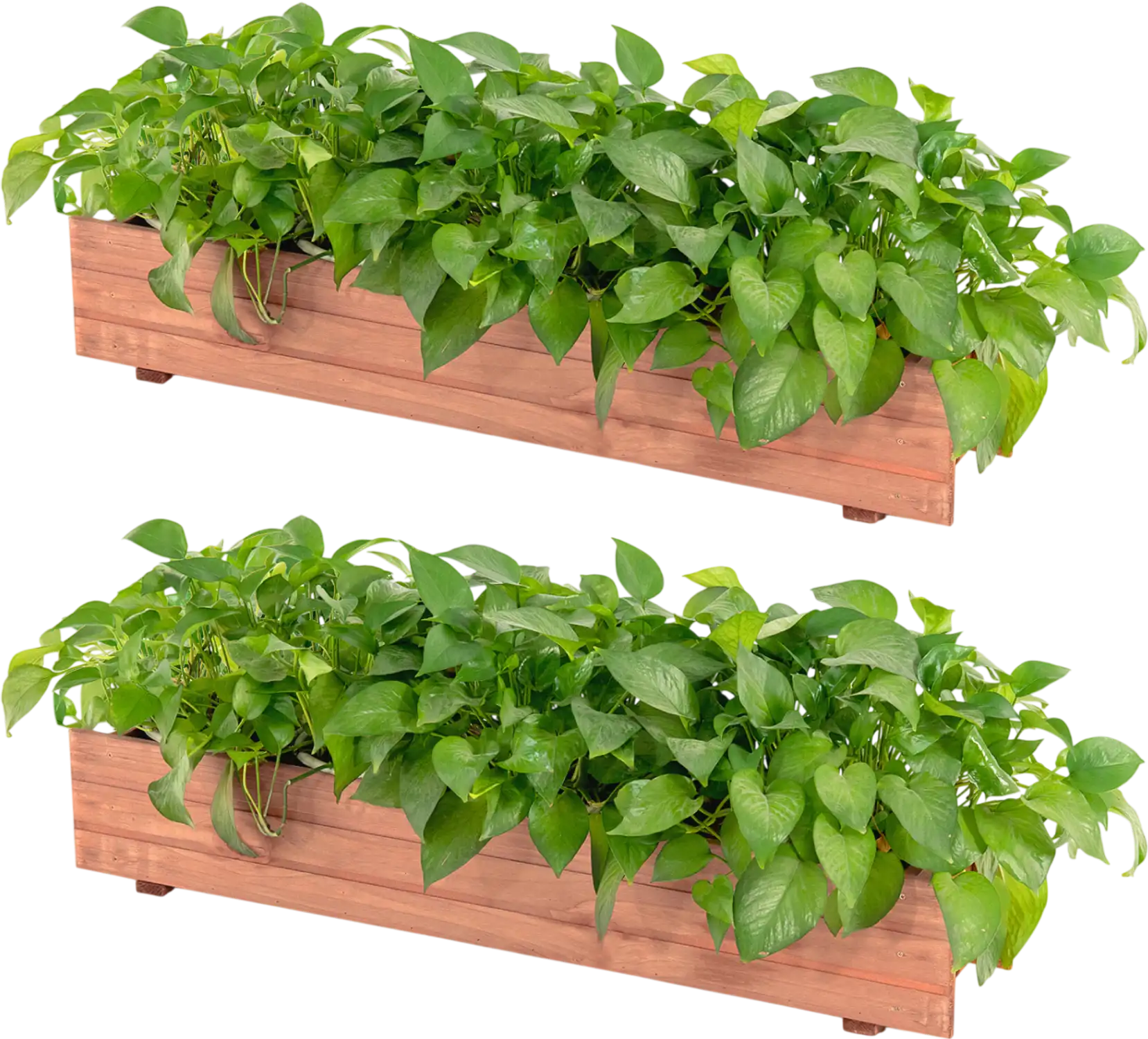 Costway Set of 2 Wooden Decorative Raised Garden Beds for Yard Window 81789054 New